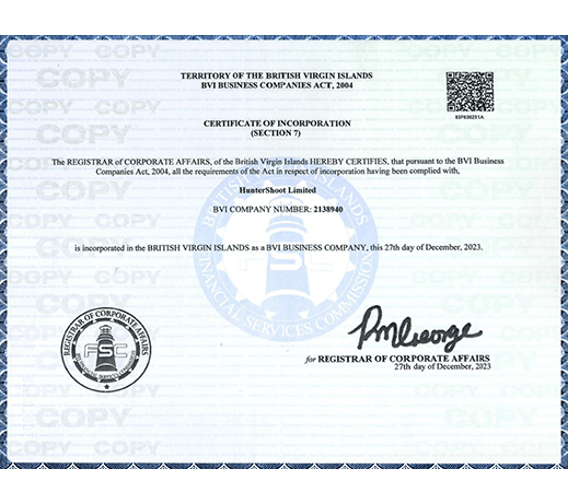 BVI Certificate